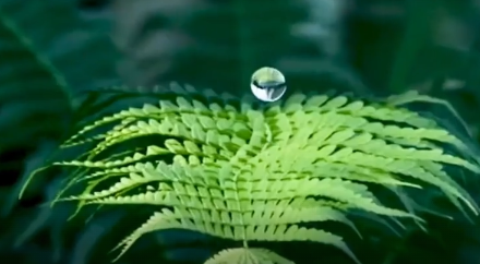 《水脉千秋》